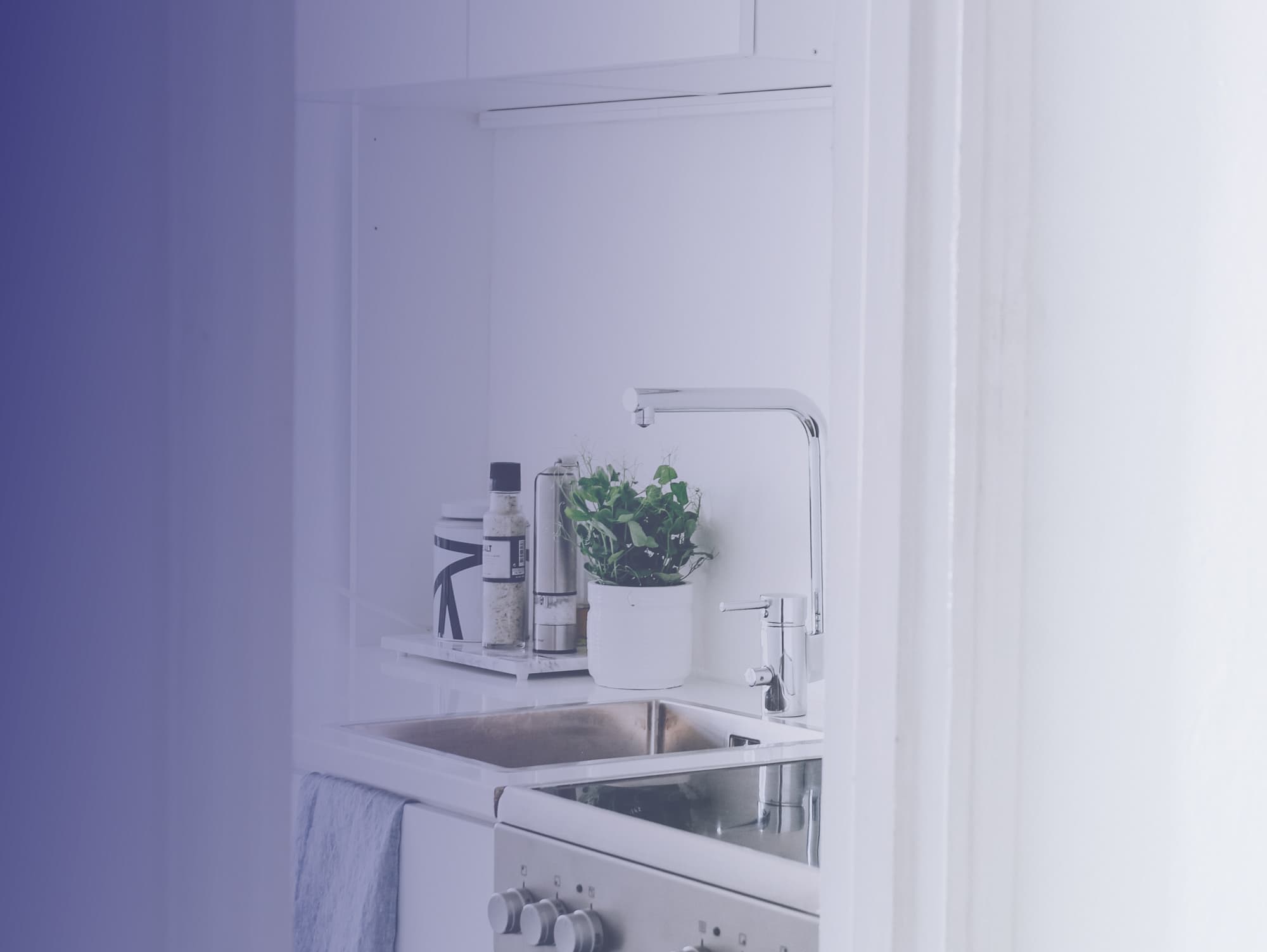 Professional viewing cleaning at a fixed price