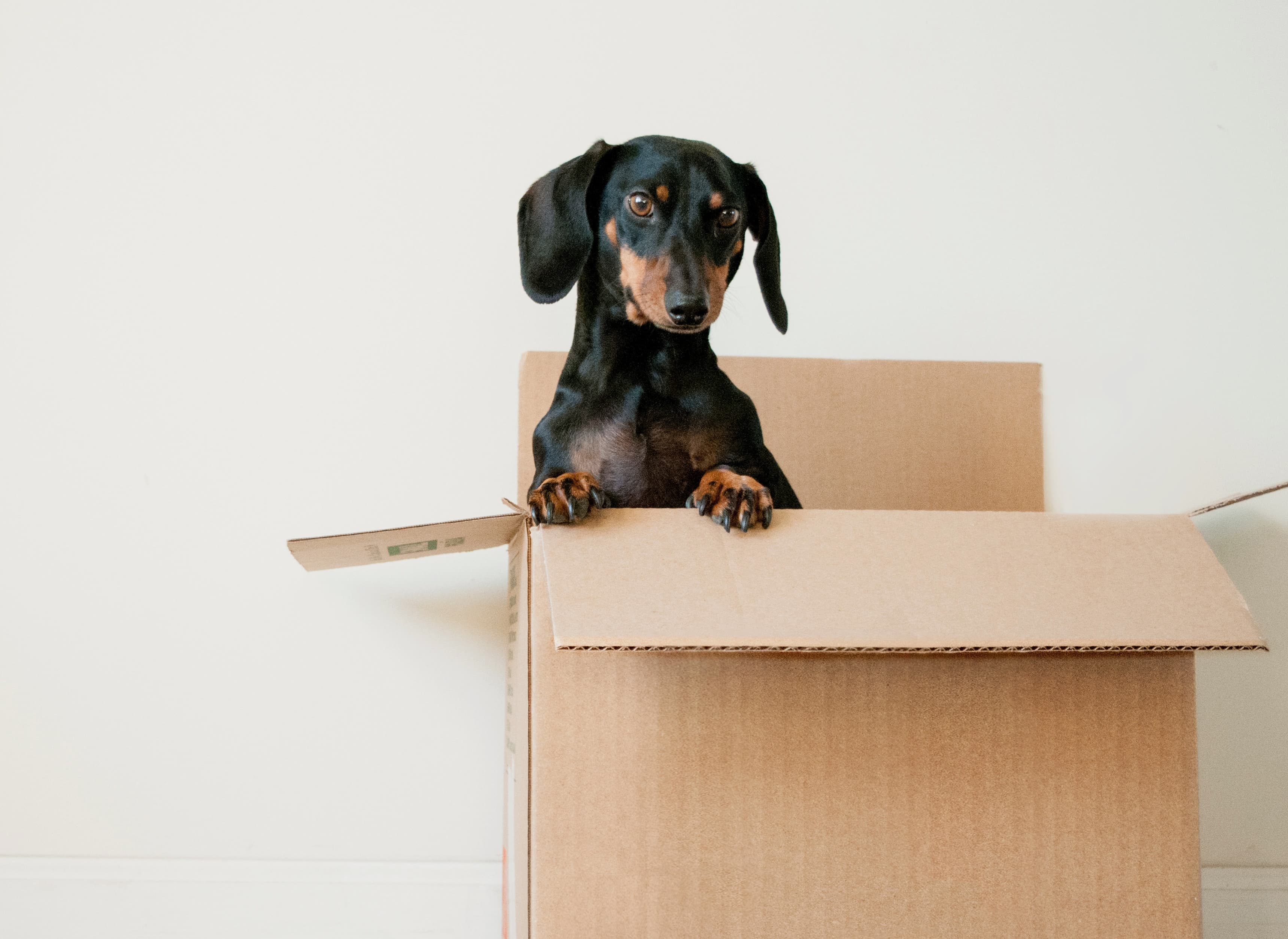 We take care of your moving cleaning so you can do other things.