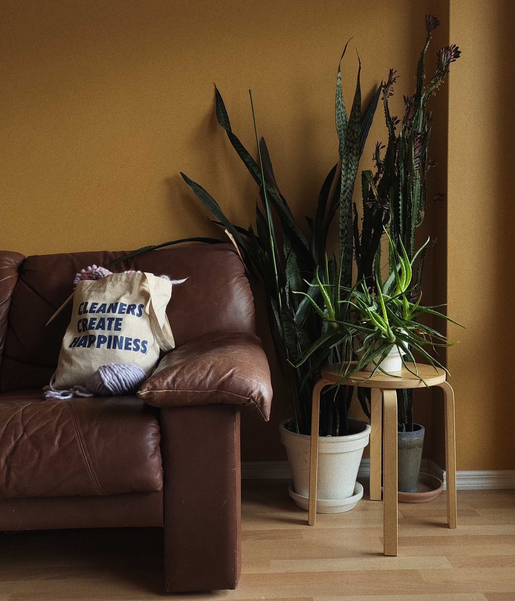 We clean in Gothenburg. Get help with cleaning and book home cleaning today.